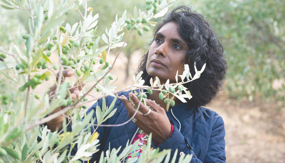 WOMEN IN THE  SA OLIVE INDUSTRY
